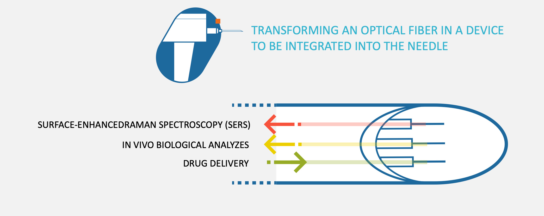 NANOCAN Diagram of medical device with optical fiber integrated into a needle for biological analysis and drug delivery