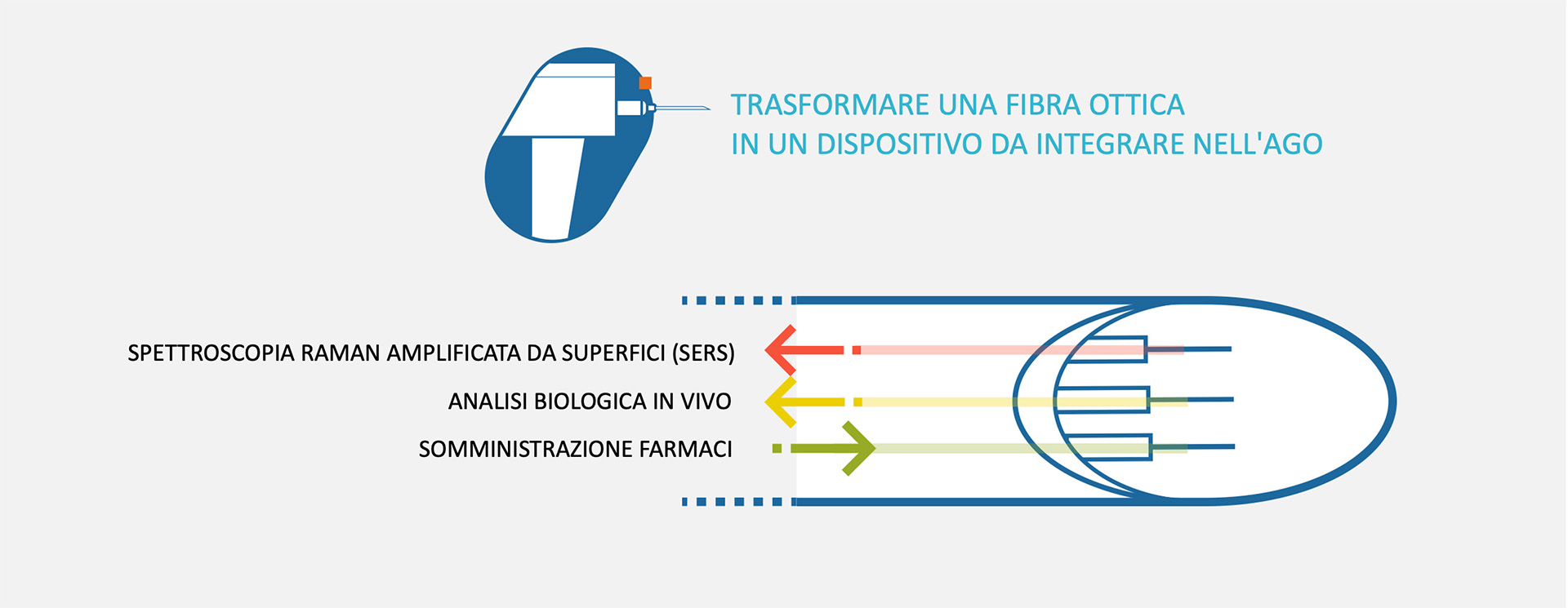 NANOCAN Schema di fibra ottica integrata in ago per analisi biologiche e somministrazione farmaci